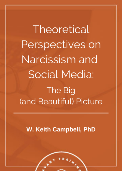Theoretical Perspectives on Narcissism and Social Media: The Big (and Beautiful) Picture