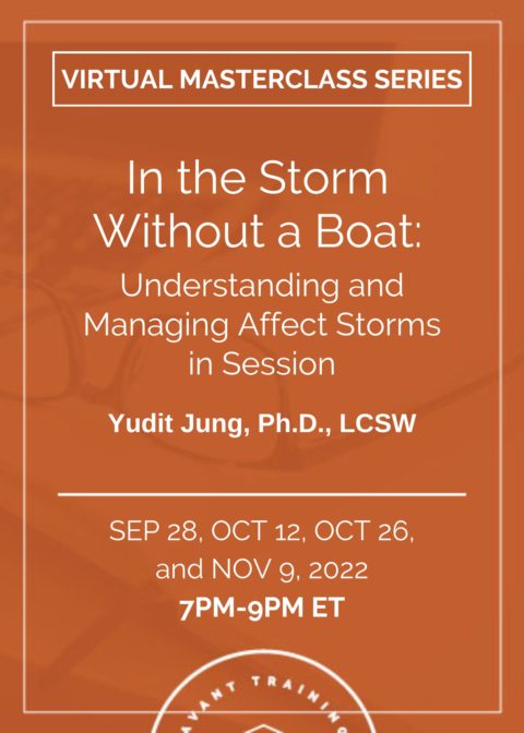 In the storm without a boat: Understanding and managing affect storms in session